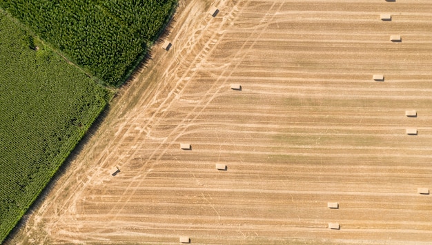 Ansicht von Drohnen in der Landwirtschaft