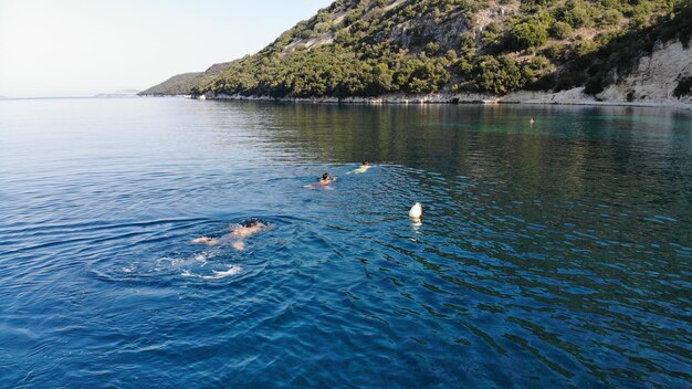 Foto ansicht von enten, die im see schwimmen