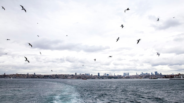 Ansicht von Istanbul von einem Schiff bei bewölktem Wetter, fliegenden Möwen, Wellen und Schaum als Spur vom Boot, Türkei