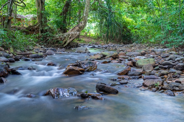 Ansicht von kleinem tropischem Fluss mit dem glatten Wasser, das auf die Felsen mit grünen Bäumen in Ba fließt