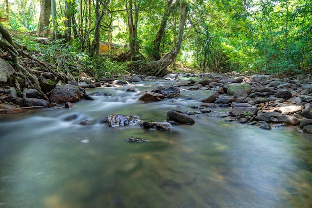 Ansicht von kleinem tropischem Fluss mit dem glatten Wasser, das auf die Felsen mit grünen Bäumen in Ba fließt