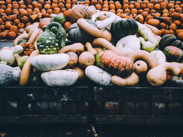 Foto ansicht von kürbissen zum verkauf auf dem markt