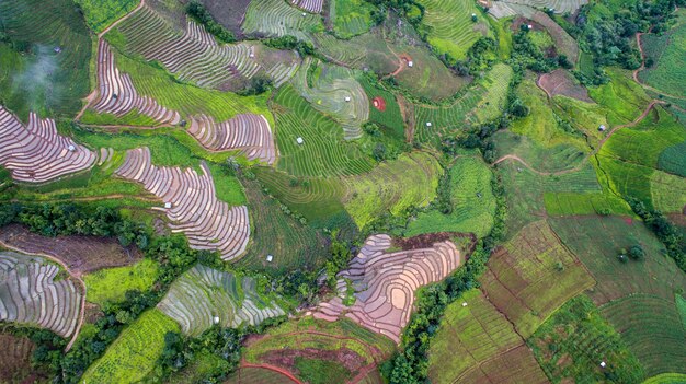 Ansicht von oben Reisfelder auf terrassierten Reisplantagen, Provinz Chiangmai, nördlich von Thailand?