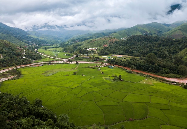 Ansicht von oben Reisterrassenfeld Nan sapan Nordthailand