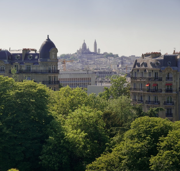 Ansicht von Paris in Frankreich