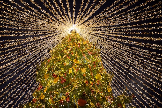 Ansicht von unten auf einen schönen hohen Weihnachtsbaum, der mit Kugeln und leuchtenden Girlanden gegen einen dunklen Nachthimmel geschmückt ist