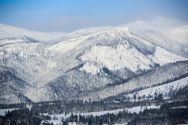 Ansichten von der Stadt Liptovsky Mikulas zur Westtatra im Winter mit schneebedeckten Bäumen und bewölktem Himmel.