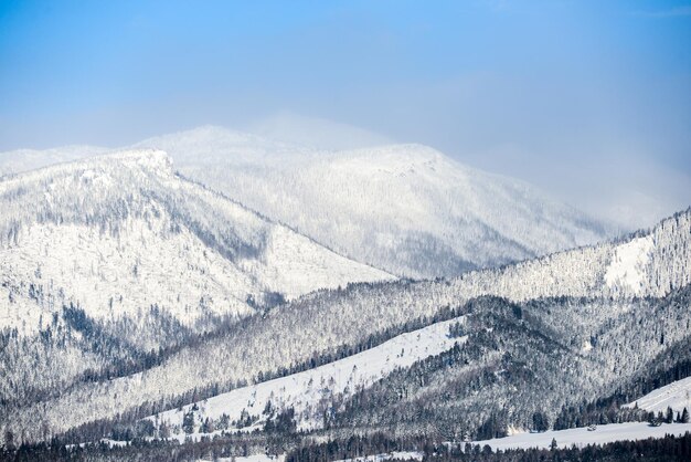 Ansichten von der Stadt Liptovsky Mikulas zur Westtatra im Winter mit schneebedeckten Bäumen und bewölktem Himmel.