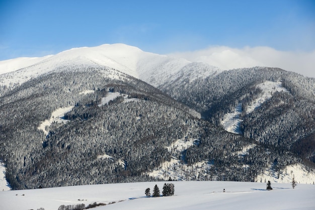 Ansichten von der Stadt Liptovsky Mikulas zur Westtatra im Winter mit schneebedeckten Bäumen und bewölktem Himmel.