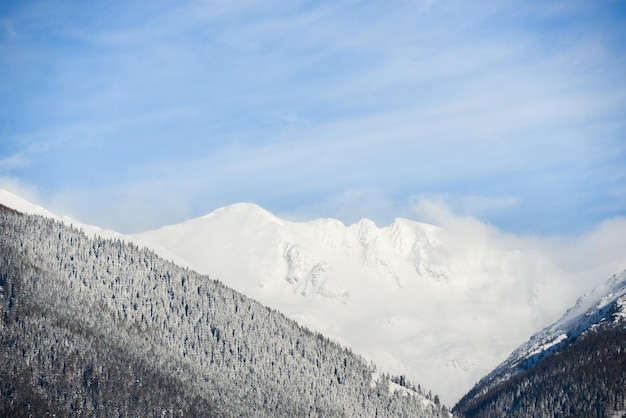 Ansichten von der Stadt Liptovsky Mikulas zur Westtatra im Winter mit schneebedeckten Bäumen und bewölktem Himmel.