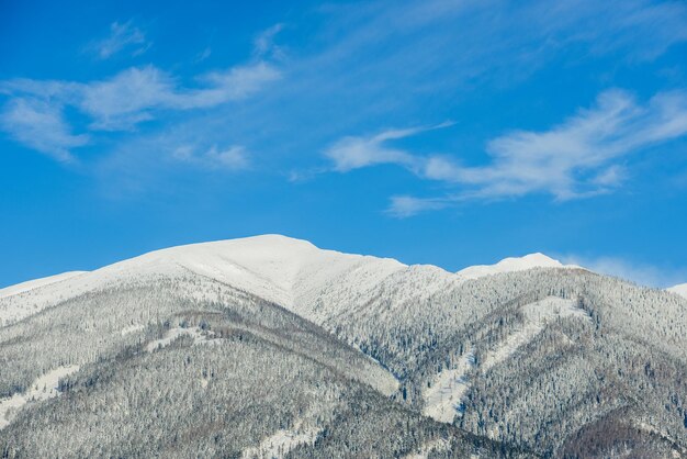 Ansichten von der Stadt Liptovsky Mikulas zur Westtatra im Winter mit schneebedeckten Bäumen und bewölktem Himmel.