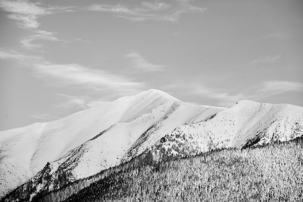 Ansichten von der Stadt Liptovsky Mikulas zur Westtatra im Winter mit schneebedeckten Bäumen und bewölktem Himmel.