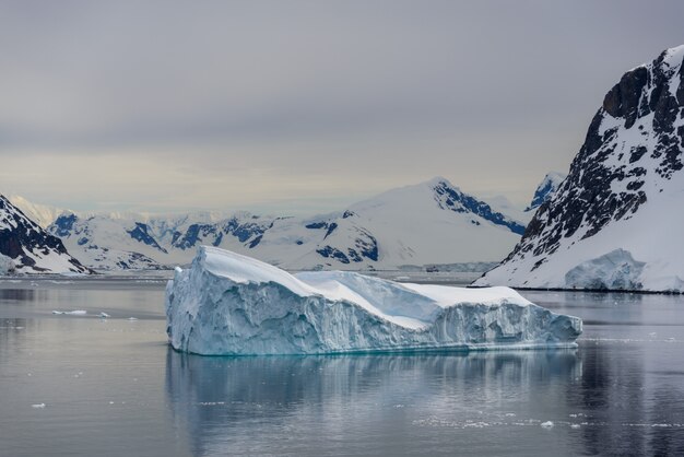 Antarktische Seelandschaft mit Eisbergen und Reflexion