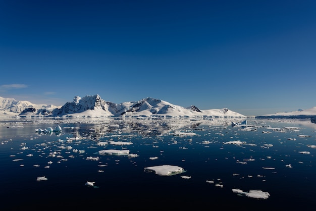 Antarktische Seelandschaft mit Reflexion