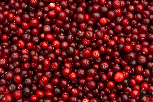 Foto antecedentes completos de cranberries vermelhos.