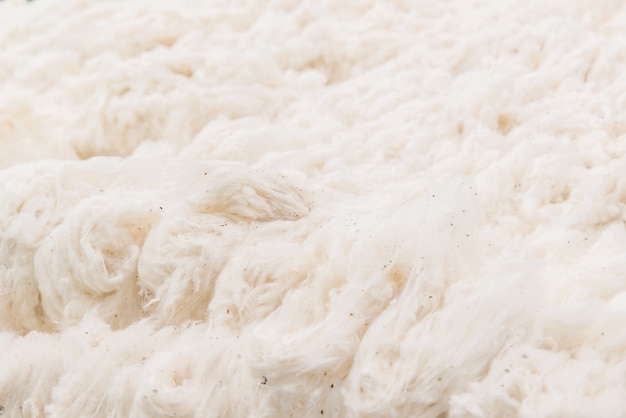 Antecedentes da fibra de algodão cru