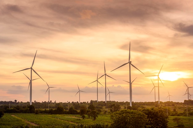 Antecedentes dos campos de turbinas eólicas no conceito de conservação ecológica do pôr do sol
