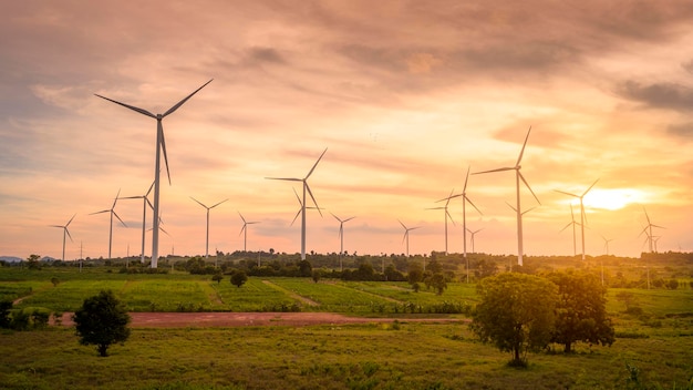 Antecedentes dos campos de turbinas eólicas no conceito de conservação ecológica do pôr do sol