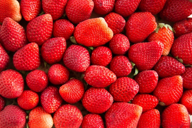 Antecedentes de fresas recién cosechadas