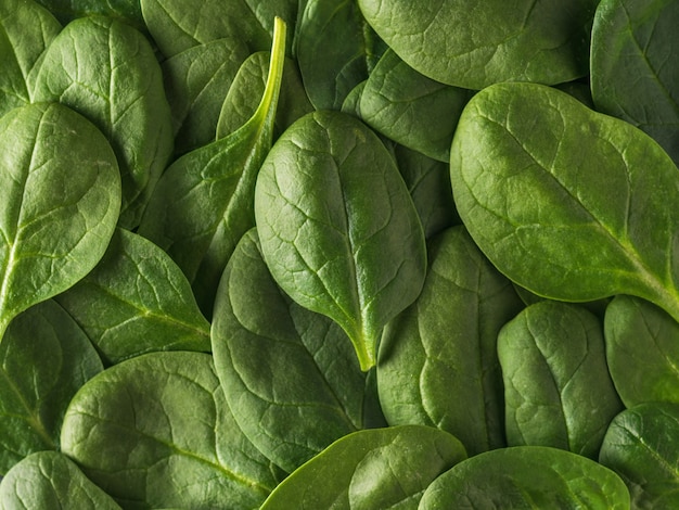 Antecedentes de una gran cantidad de hojas de espinaca. Alimentos para fitness. Comida vegetariana.