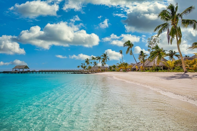 Antecedentes de viajes de verano. Bahía tropical exótica de la isla de la playa, costa del paraíso. palmeras arena blanca