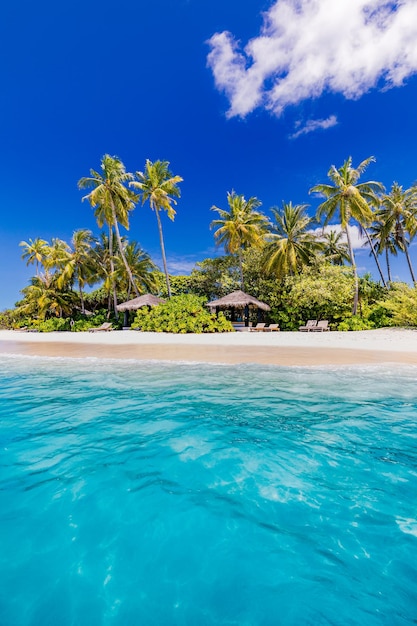 Antecedentes de viajes de verano. Bahía tropical exótica de la isla de la playa, costa del paraíso. palmeras arena blanca