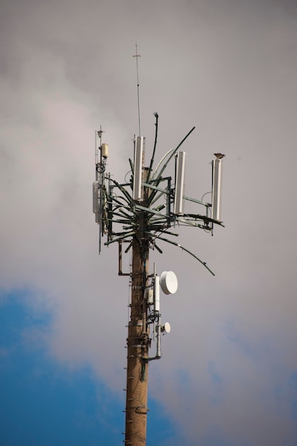 Antena de comunicación tropical de palma