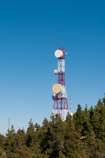 antena de telecomunicações no centro de uma área verde de pinhal