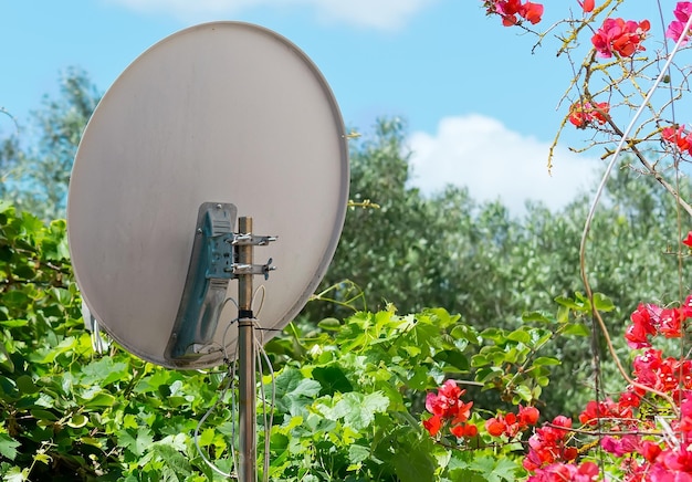 Antena parabólica en un jardín colorido