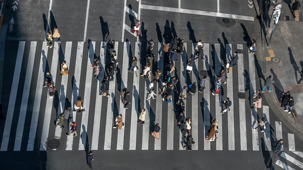 Antena sobre multitud de cruce de peatones japonés calle con luz del atardecer. Vista elevada sobre la gente asiática caminando en la intersección de carreteras más transitadas de la ciudad de Tokio