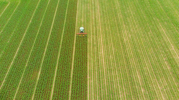 Foto antena: tractor trabajando en campos de cultivo, ocupación agrícola, vista de arriba hacia abajo de exuberantes cultivos de cereales verdes, sprintime en italia