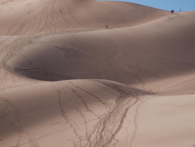 Antes del atardecer en el Parque Nacional Great Sand Dunes, Colorado.