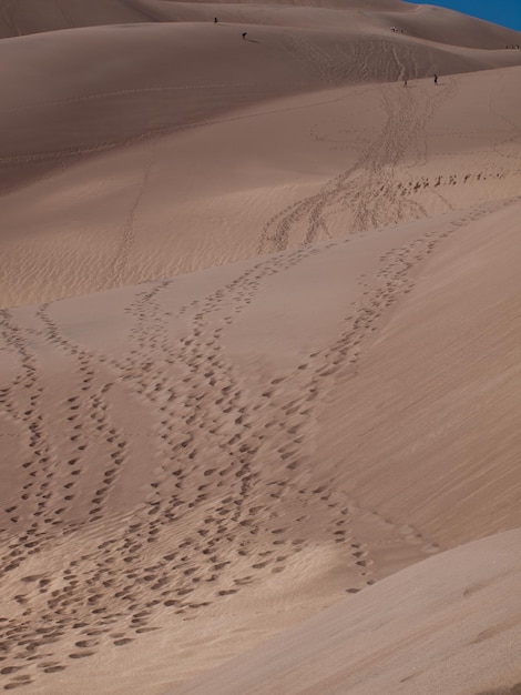 Antes do pôr do sol no Parque Nacional Great Sand Dunes, Colorado.