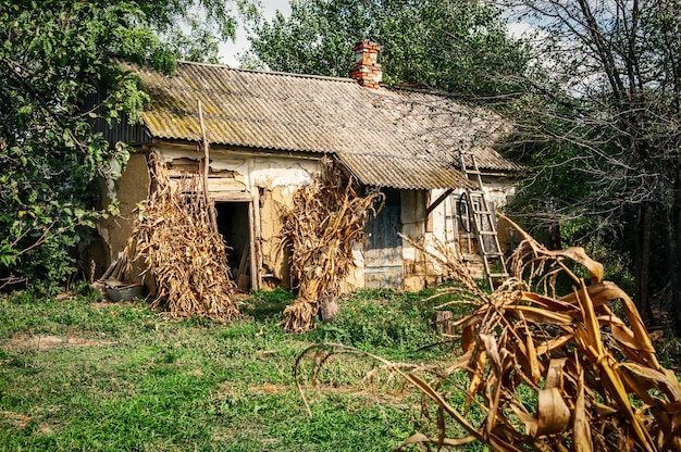 Antiga casa de aldeia em ambiente florestal