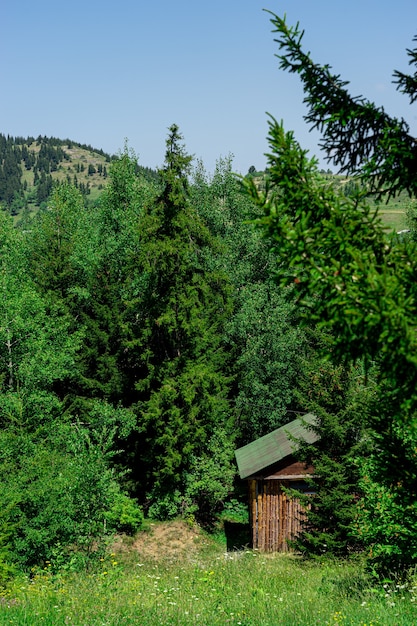 Antiga casa de madeira em savsat, província de artvin, turquia