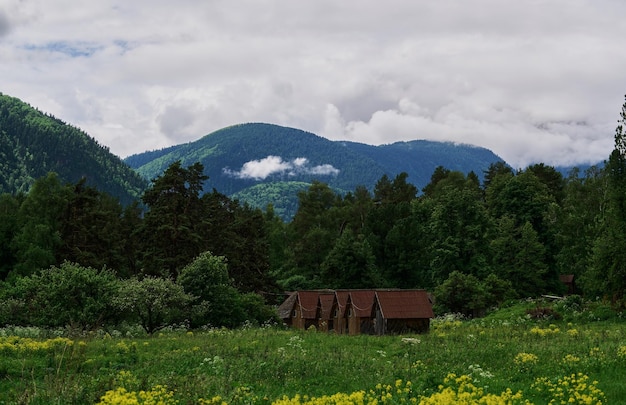 Antiga casa rural rural no meio da floresta como foco seletivo de contos de fadas infantis russos