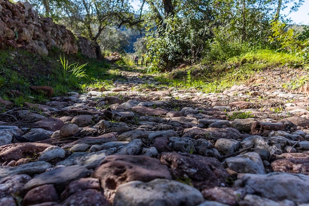 Antiga estrada romana na zona rural