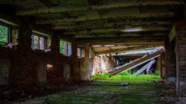 Antiga fazenda abandonada e arruinada coberta de arbustos e árvores