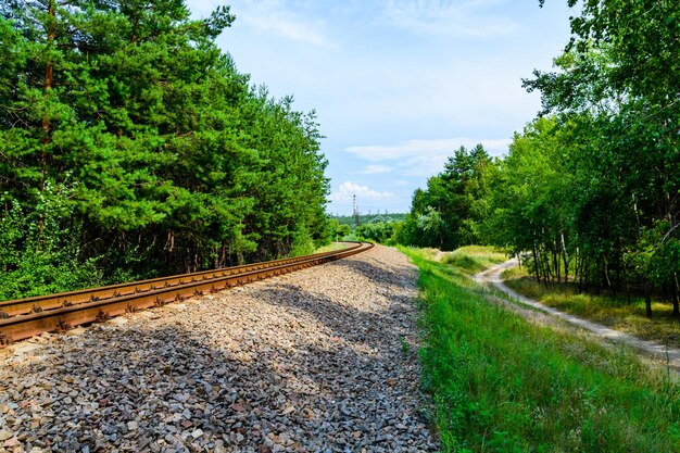 Antiga ferrovia na floresta no verão