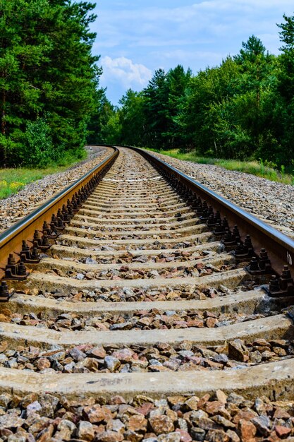 Antiga ferrovia na floresta no verão