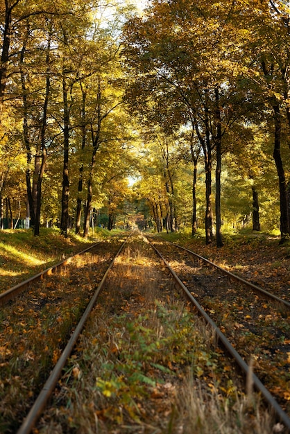 Antiga ferrovia na paisagem de outono com folhas caídas. ferrovia na floresta de outono.