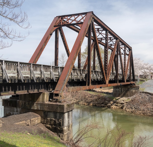 Antiga ponte de viga de aço carregando trilha de caminhada e ciclismo em Morgantown sobre Deckers Creek com flores de cerejeira