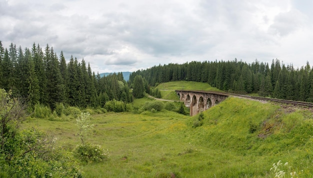 Antiga ponte ferroviária de pedra entre abetos