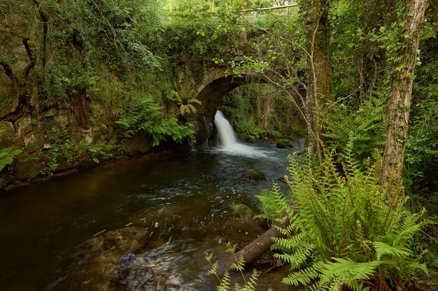 Antiga ponte sobre um pequeno rio chamado O peilan, na região da Galiza, Espanha.