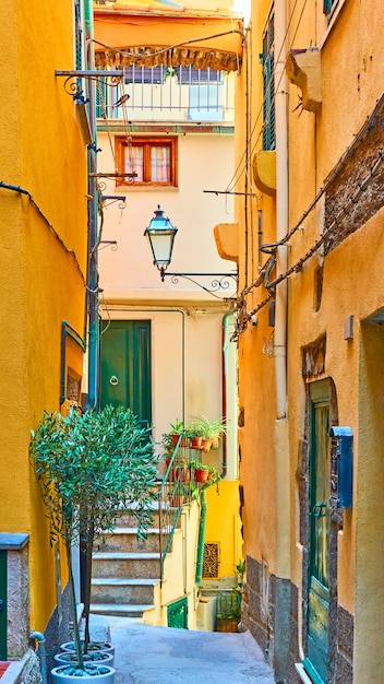 Antiga rua pitoresca na cidade de Vernazza, Cinque Terre, Itália