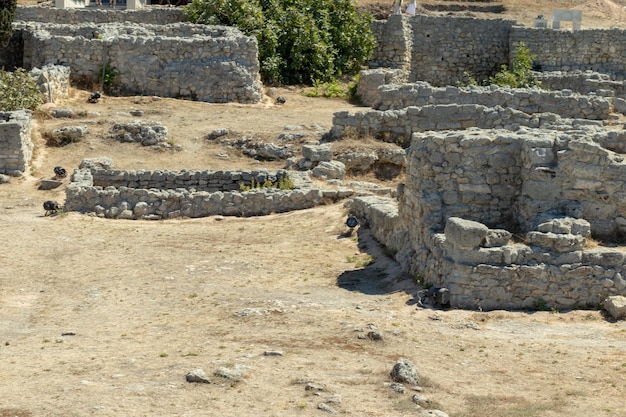 Antigas escavações gregas antigas tauric chersonesos para turistas