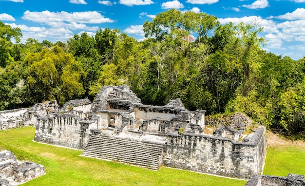 Antigas ruínas maias em tikal. patrimônio mundial da unesco na guatemala