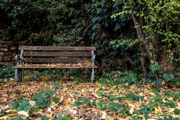 Foto antigo banco de madeira em um jardim com folhas caídas em peratallada, na catalunha