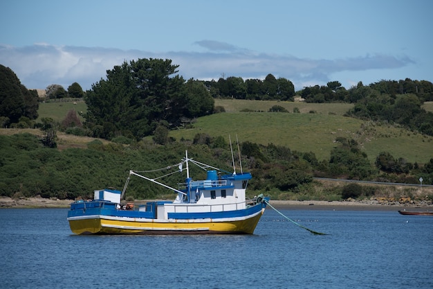 Antigo barco de pesca típico feito de madeira em uma baía em um dia nublado com ervas verdes atrás