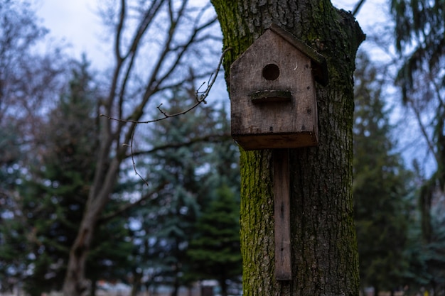 Antigo birdhouse montado em uma árvore